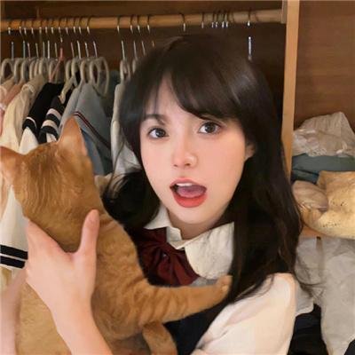 丛林奇航